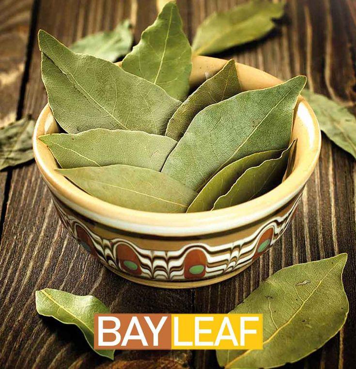 BAY LEAF
