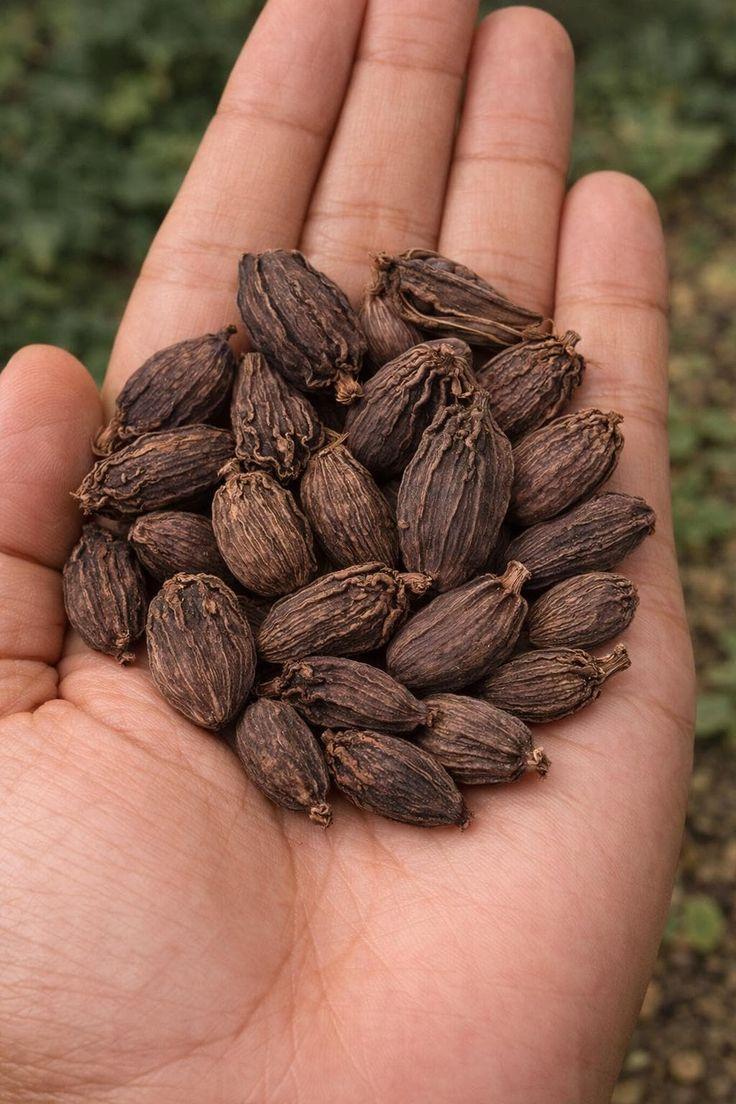 BLACK CARDAMOM 100GM